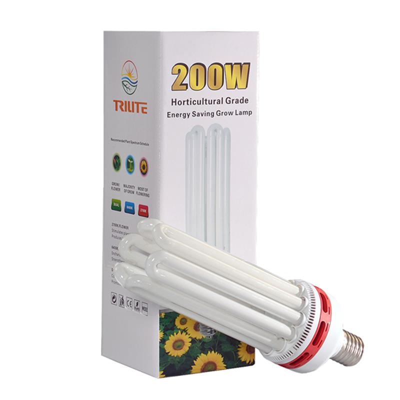 CFL žarnica 200W Grow 6400K