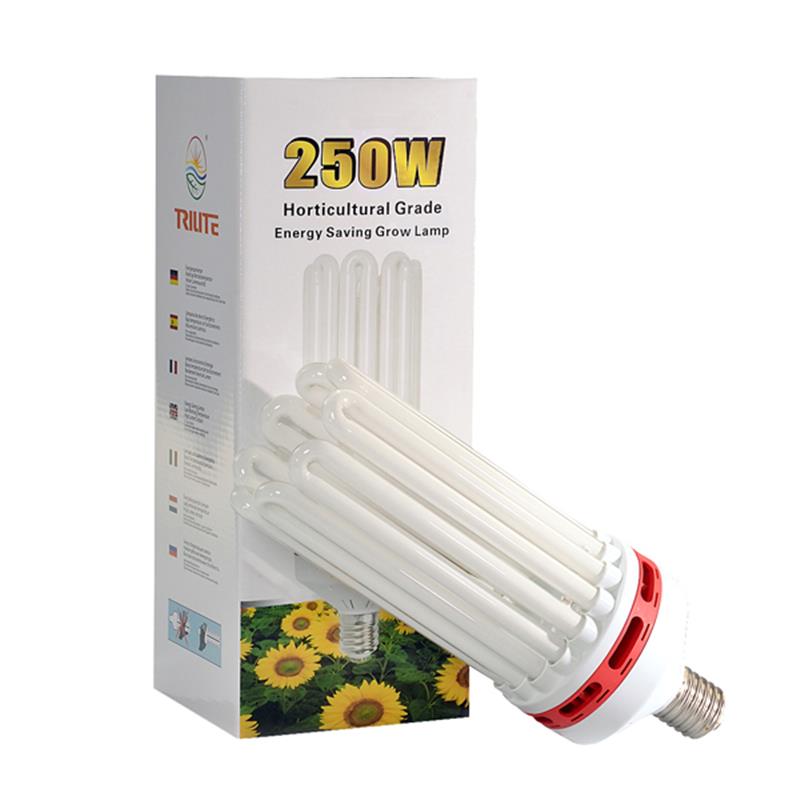 CFL žarnica 250W Bloom 2100K