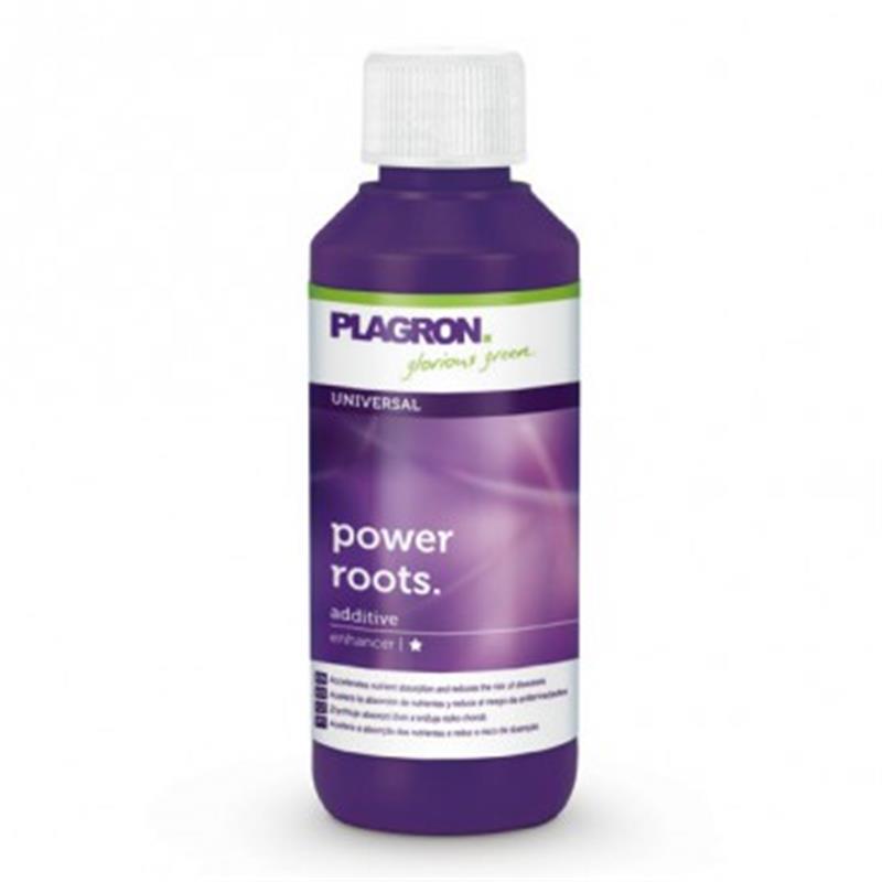 Plagron Power Roots 100ml
