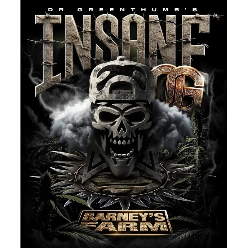 Seme Barneys Insane OG 5 fem