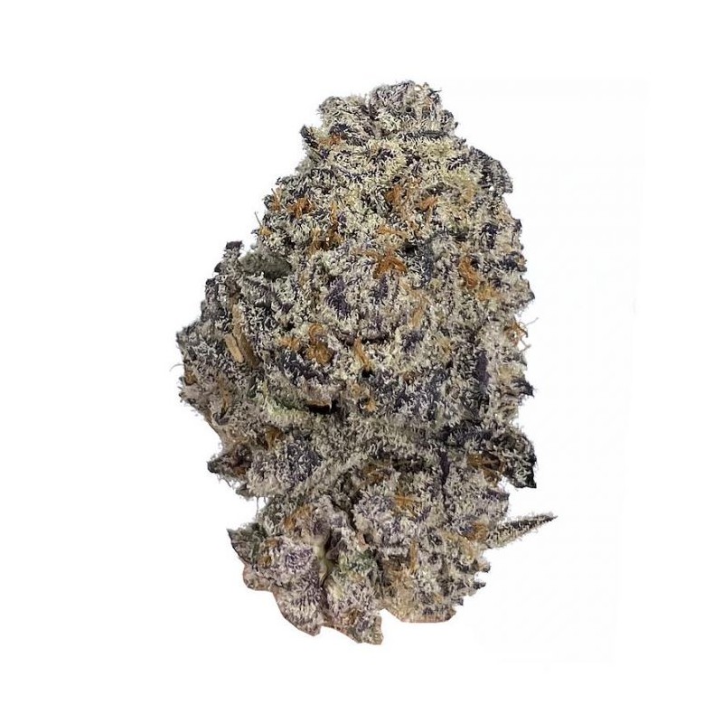 Growers Choice Original Oreoz fem